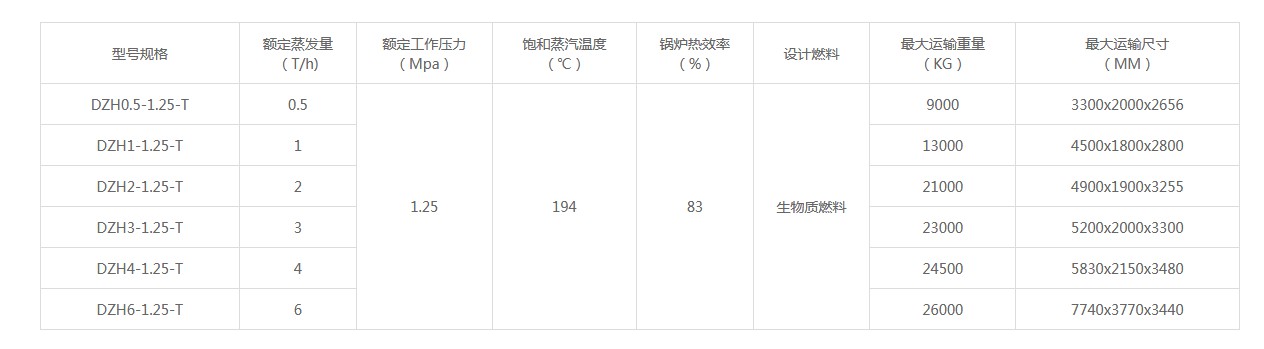 DZH型生物質(zhì)蒸汽鍋爐.JPG